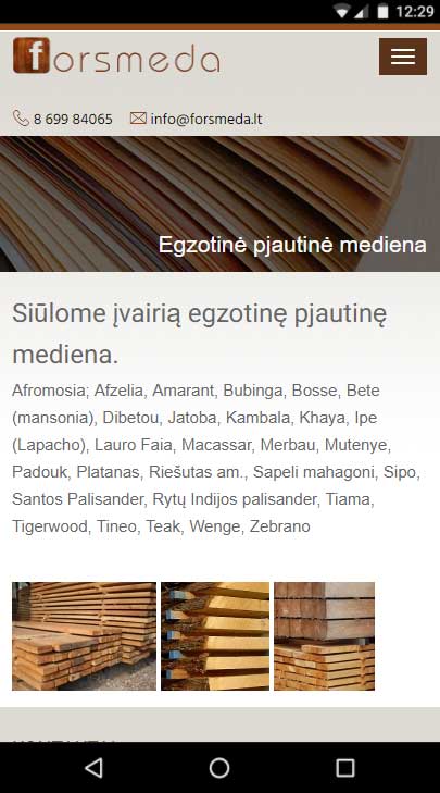 interneto svetainiu kurimas forsmeda