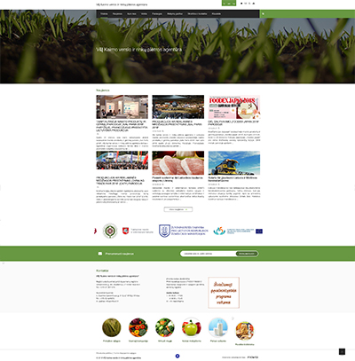 interneto svetainės kūrimas