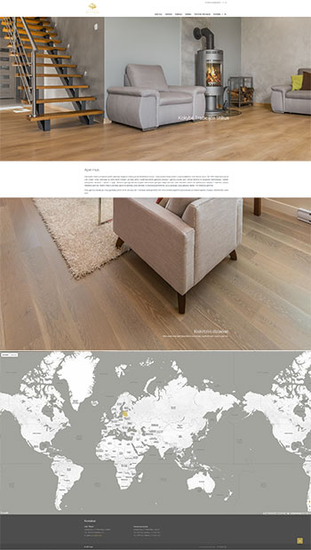 interneto svetainiu kurimas panevezys