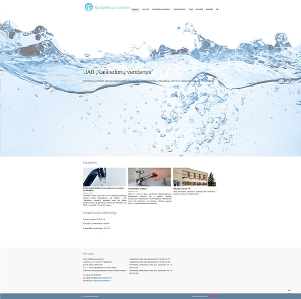 Interneto svetainių kūrimas 