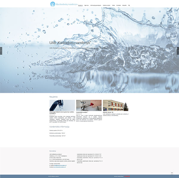 Interneto svetainių kūrimas 