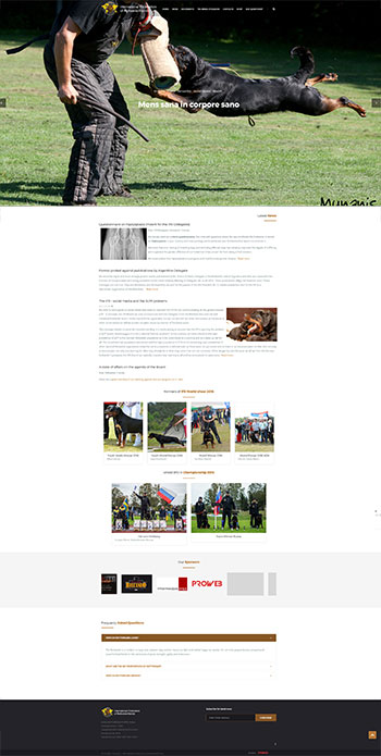 interneto svetainių kūrimas ifr