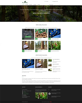 interneto svetainiu kurimas Panevezys