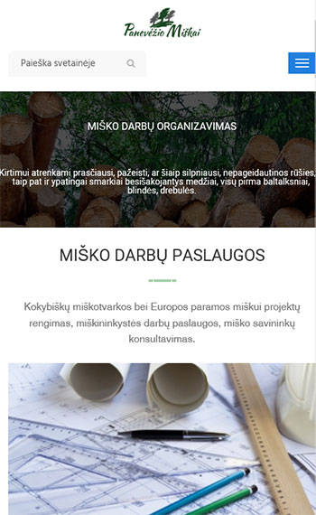 svetainiu kurimas mobiliems panevezys