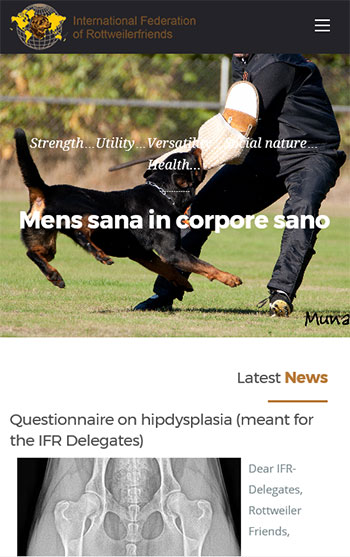 svetainiu kurimas responsive