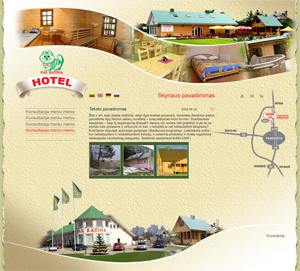 Interneto svetainių kūrimas, Panevėžys