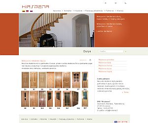 Internetinių svetainių kūrimas Panevėžys