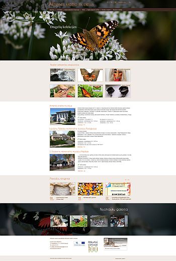 Svetainių kūrimas Akmenės muziejus