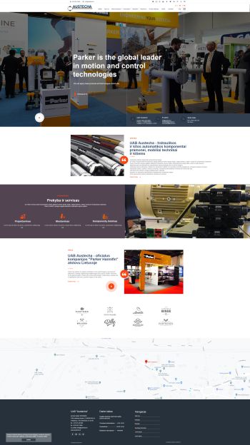 interneto svetainiu kurimas panevezys