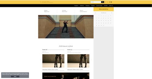 Interneto svetainė pritaikyta mobiliems įrenginiams ir neįgaliųjų poreikiams, sutvarkyta pagal BDAR reikalavimus.
