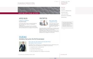 tinklapių kūrimas vilnius