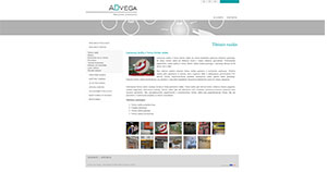 seo paslaugos google.lt