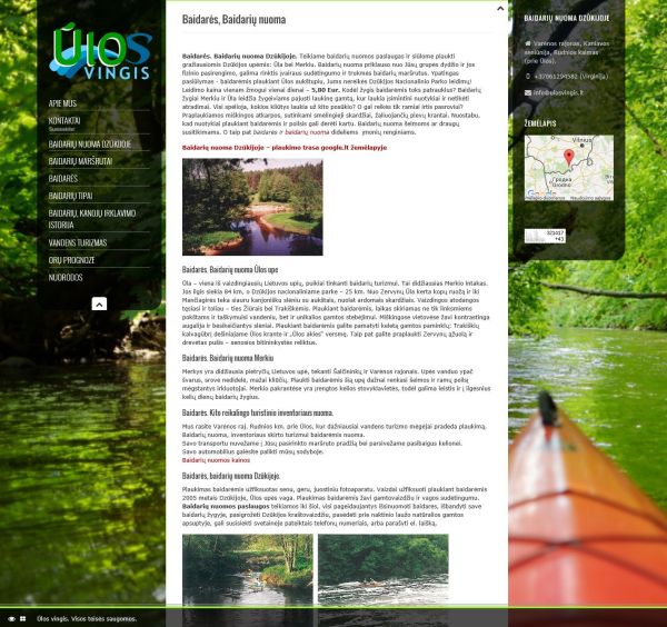 seo paslaugos google.lt