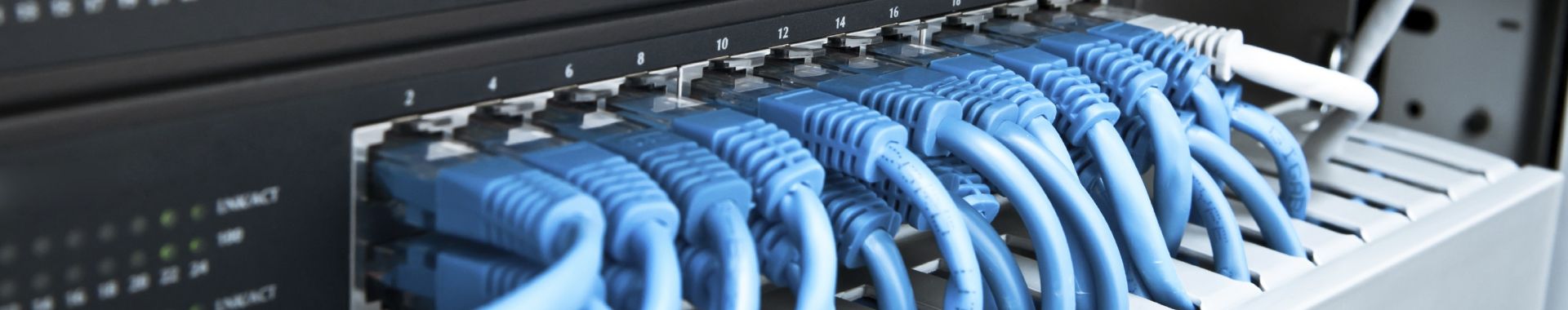 interneto svetainių kūrimas